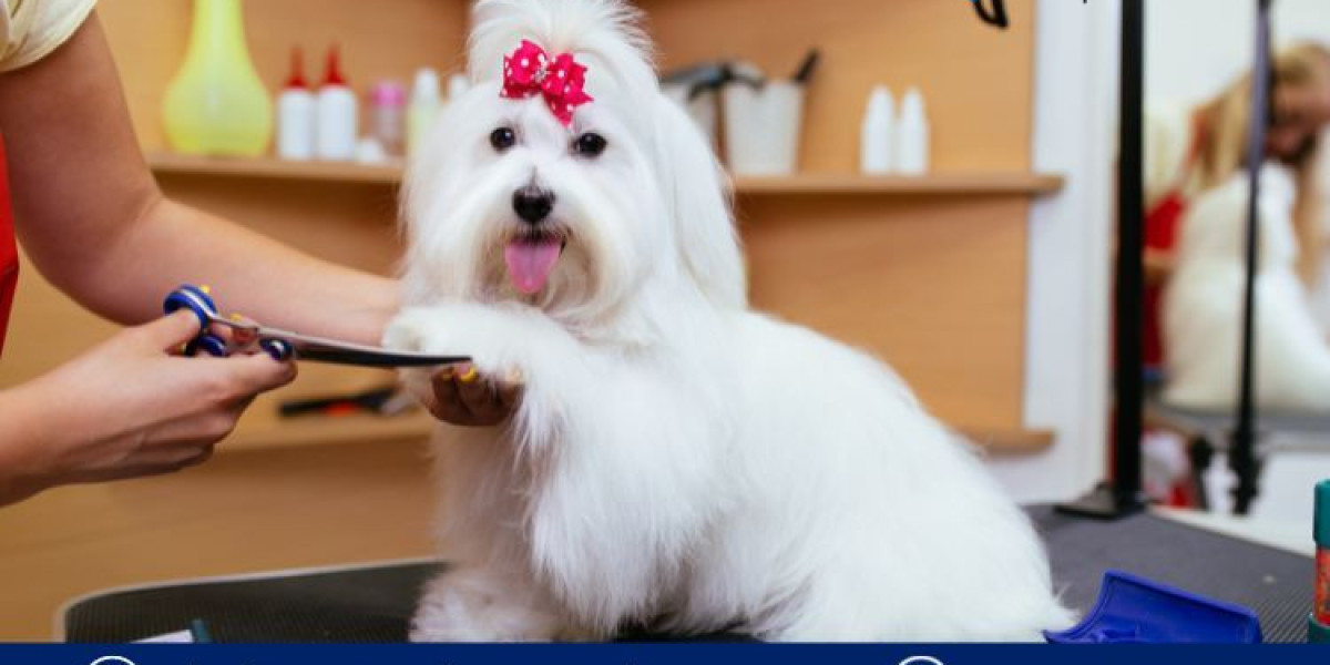 India Pet Grooming Products Market Share, Growth & Trends by 2034