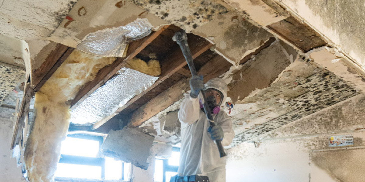 Mold Remediation Services Beverly Hills, CA