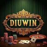 diuwin game Profile Picture