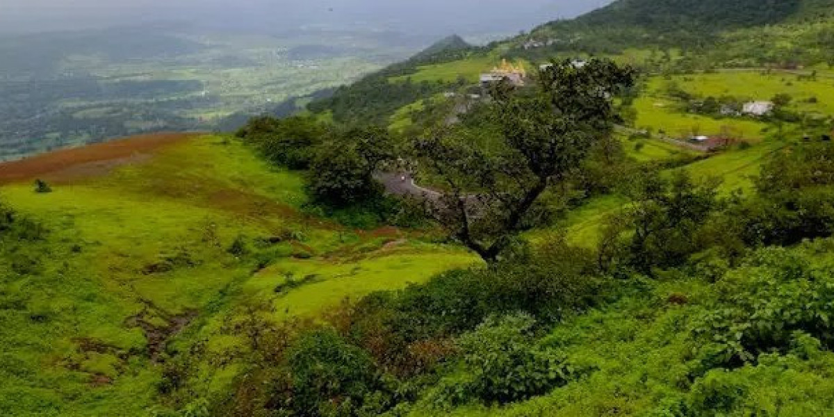 Escape to Saputara: Gujarat’s Hidden Hill Retreat